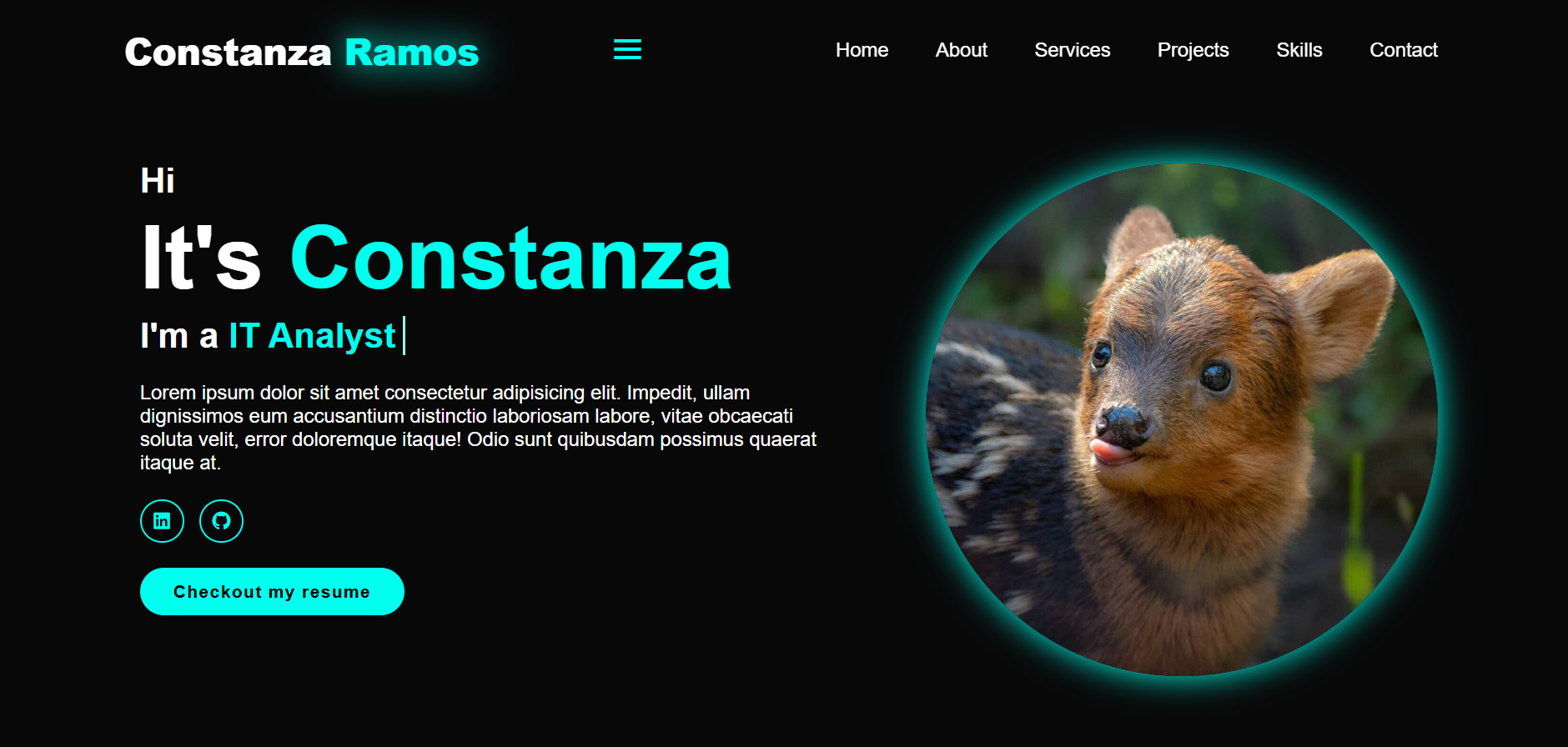 portfolio project screenshot